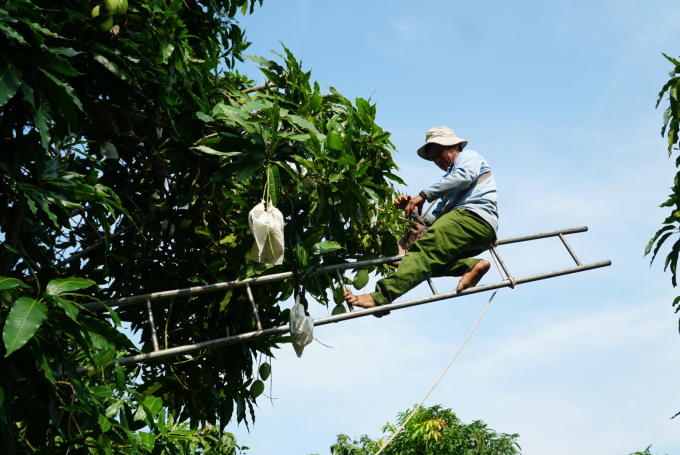 'Hộ chiếu' cho trái cây xuất khẩu